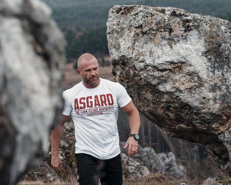 Longsleeve Defence Legion Asgard