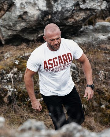 Longsleeve Defence Legion Asgard